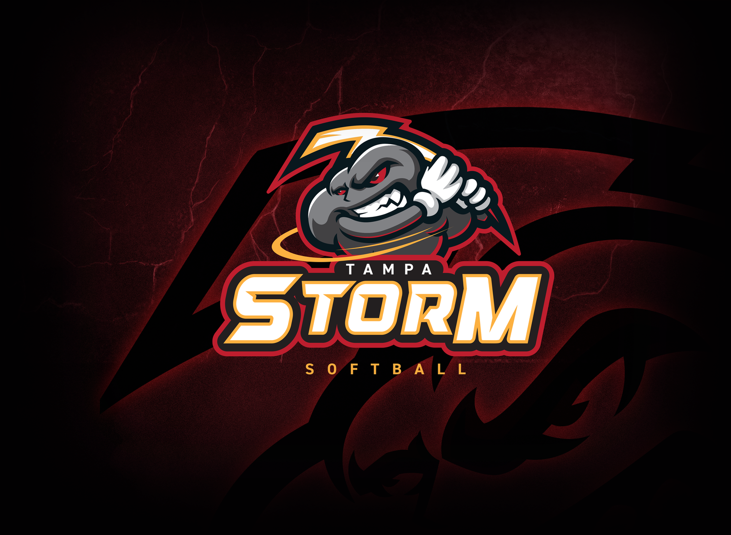 Tampa Storm